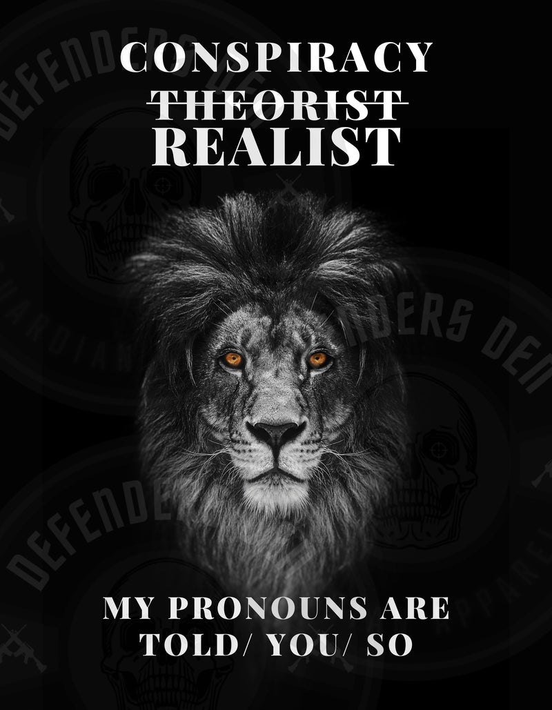 Conspiracy Realist Tee or Hoodie